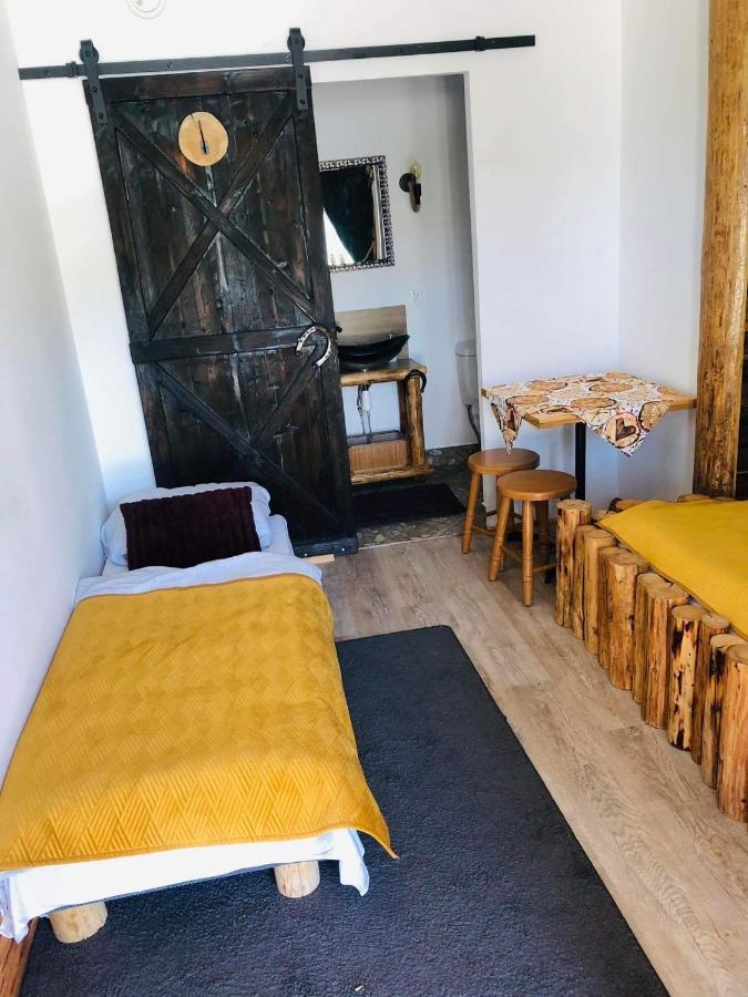 Rochowa Buznica Zakopane Kültér fotó